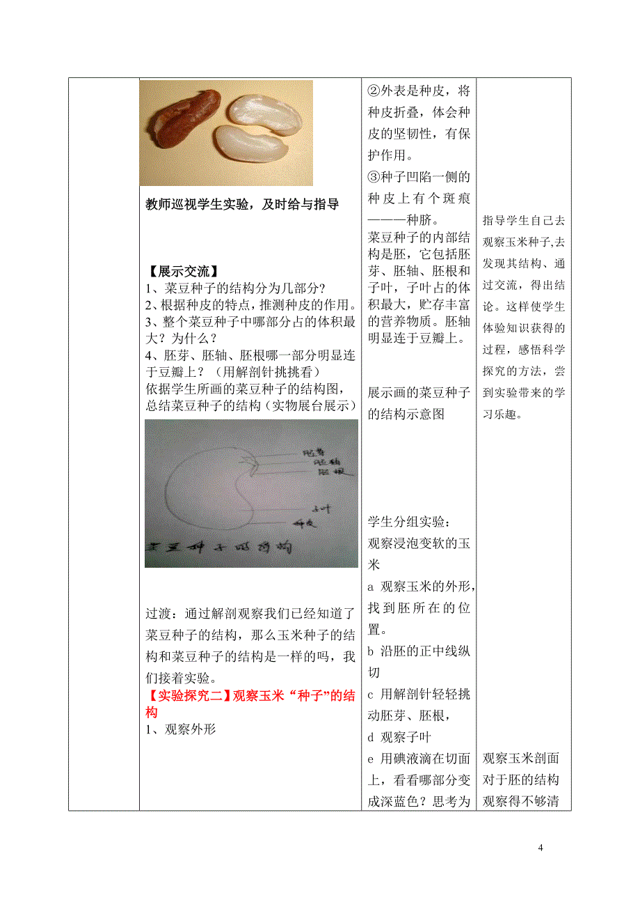 八年级上册生物《果实和种子的形成》教案_第4页