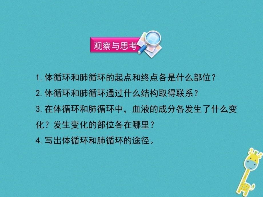 河南省荥阳市七年级生物下册4.4.3输送血液的泵——心脏（第2课时）课件（新版）新人教版_第5页