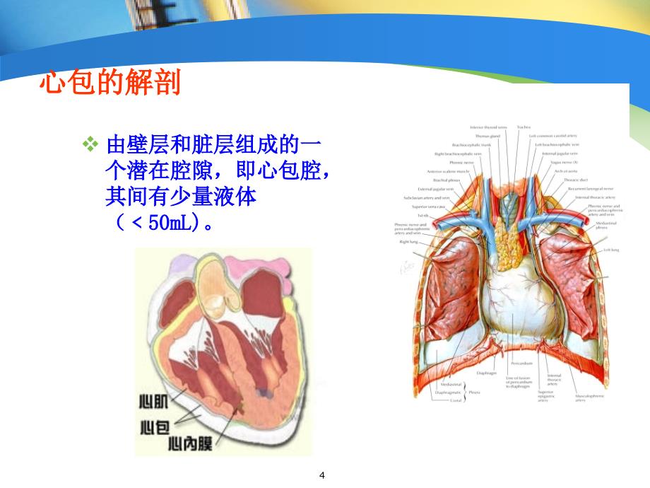 急性心包炎ppt课件_第4页