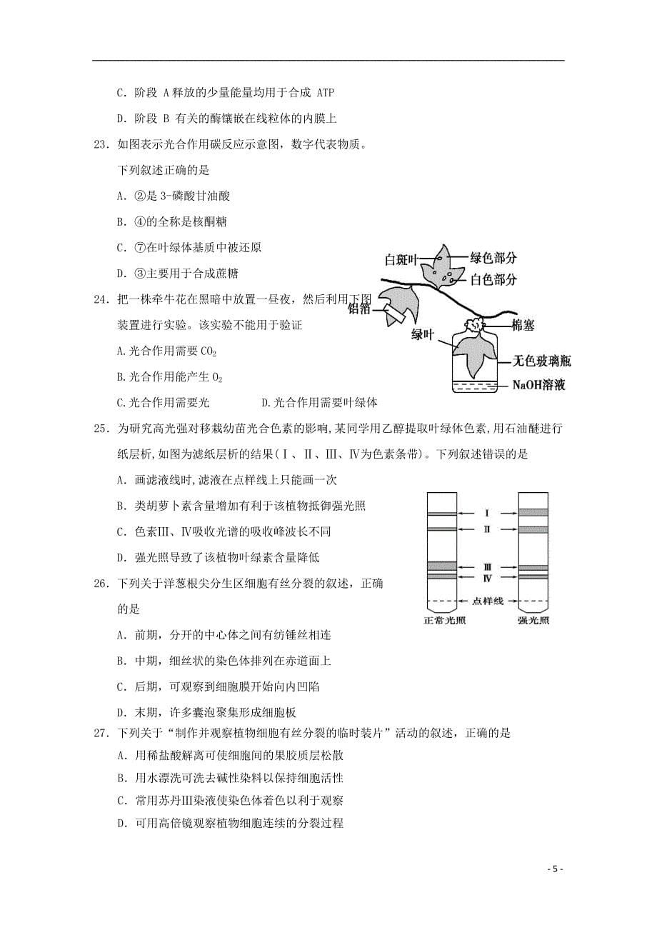 浙江省桐乡市凤鸣高级中学2017-2018学年高一生物下学期期中试题_第5页