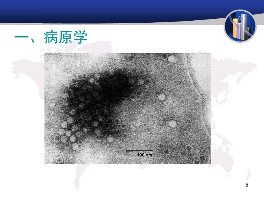 犬传染性肝炎ppt课件_第5页