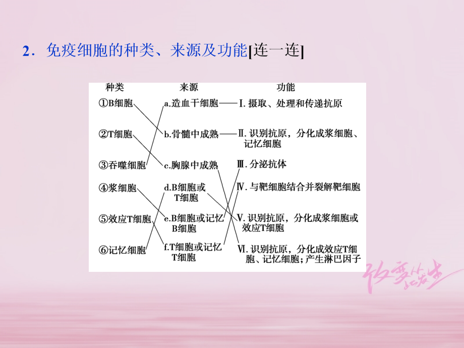 2019届高考生物一轮复习第八单元生命活动的调节第28讲免疫调节课件_第4页