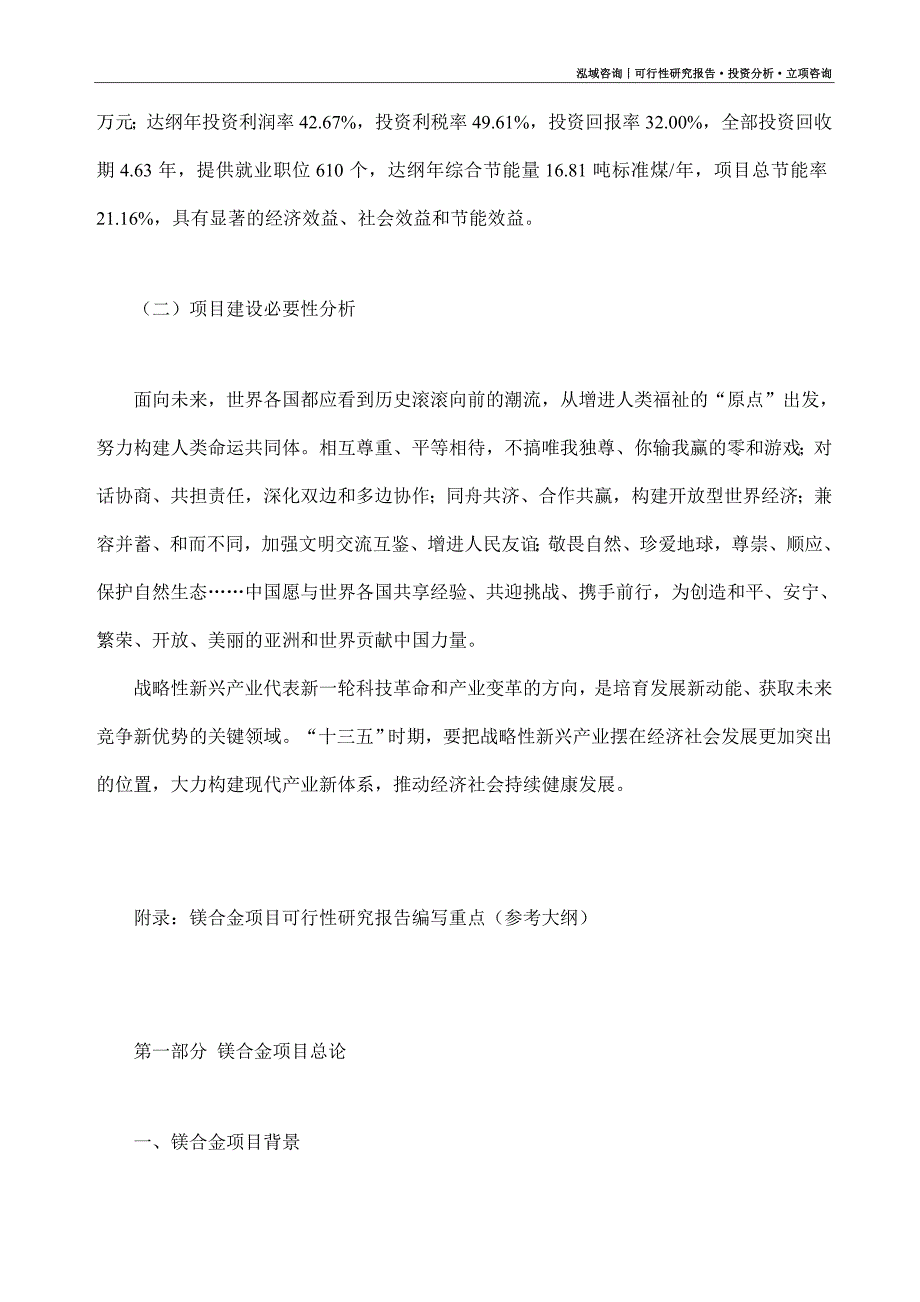 镁合金项目可行性研究报告（模板大纲及重点分析）_第3页