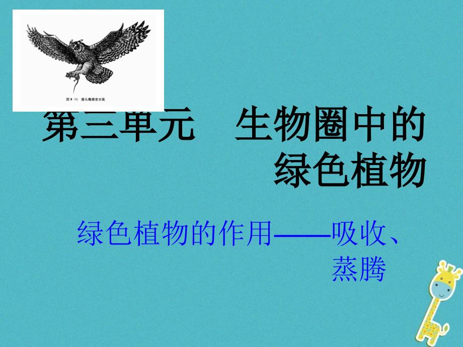 广东省河源市七年级生物上册3.3绿色植物与生物圈的水循环课件（新版）新人教版_第1页