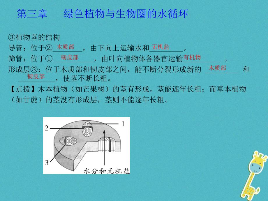 广东省河源市七年级生物上册3.3绿色植物与生物圈的水循环课件（新版）新人教版_第3页