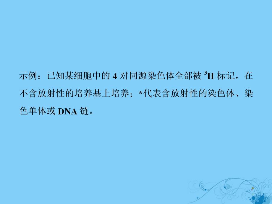 2019年高考生物一轮复习第六单元遗传的分子基础微专题六图解法分析细胞分裂过程中染色体的标记情况课件苏教版_第2页