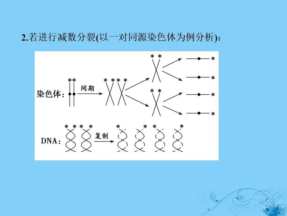 2019年高考生物一轮复习第六单元遗传的分子基础微专题六图解法分析细胞分裂过程中染色体的标记情况课件苏教版_第5页