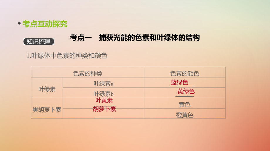 2019届高考生物一轮复习第3单元细胞的能量供应和利用第10讲光与光合作用课件_第4页