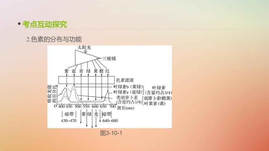 2019届高考生物一轮复习第3单元细胞的能量供应和利用第10讲光与光合作用课件_第5页