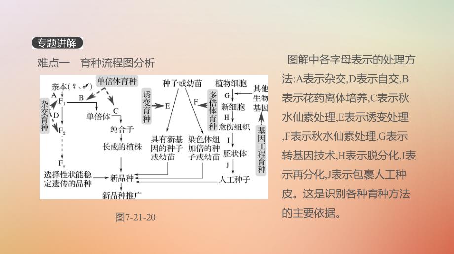 2019届高考生物一轮复习第7单元变异、育种与进化拓展微课育种流程图的分析与设计课件_第2页