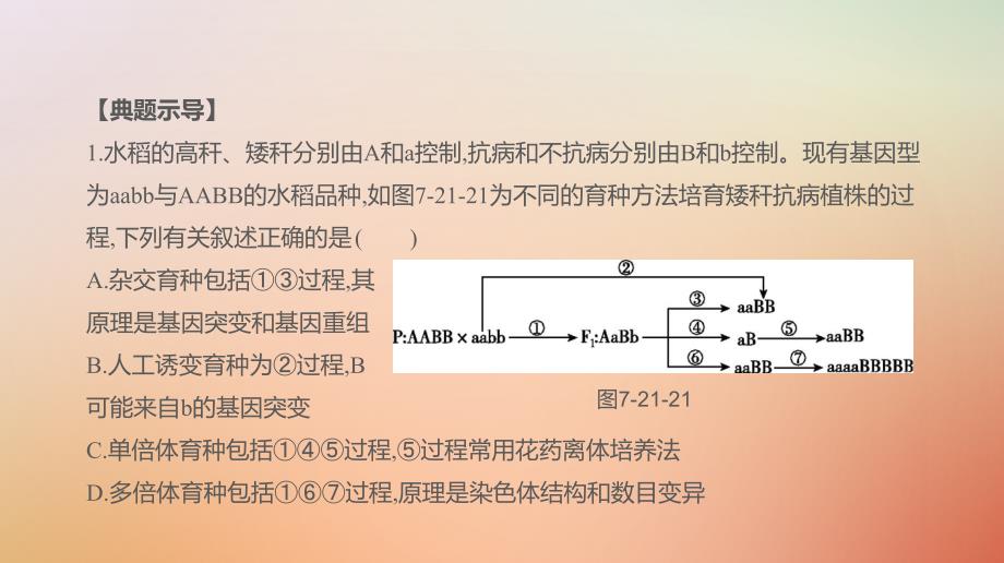 2019届高考生物一轮复习第7单元变异、育种与进化拓展微课育种流程图的分析与设计课件_第3页