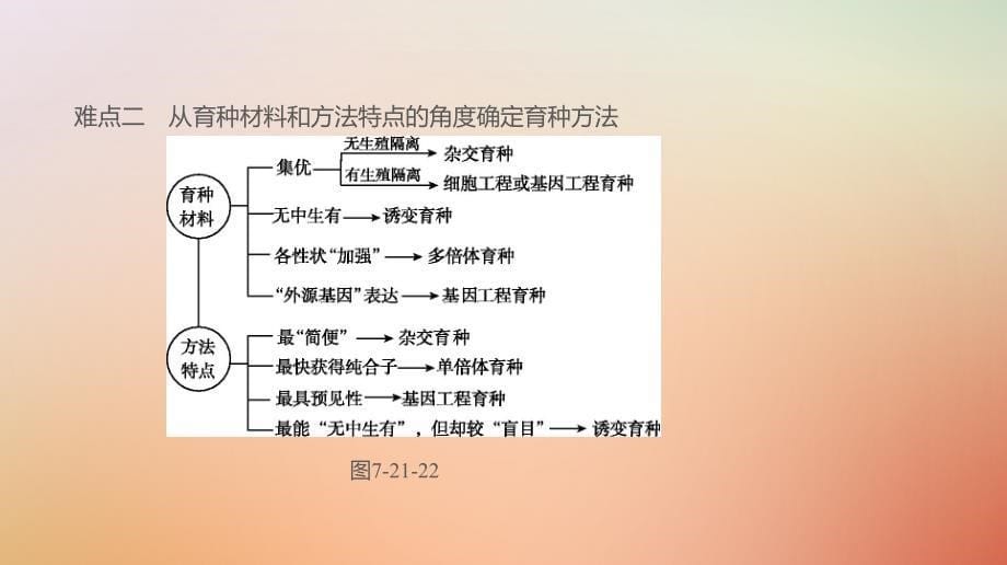 2019届高考生物一轮复习第7单元变异、育种与进化拓展微课育种流程图的分析与设计课件_第5页