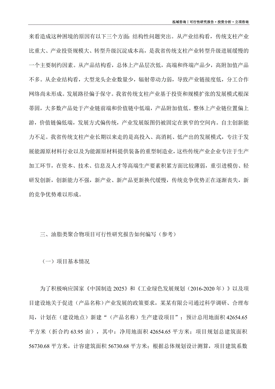 油脂类聚合物项目可行性研究报告（模板大纲及重点分析）_第2页