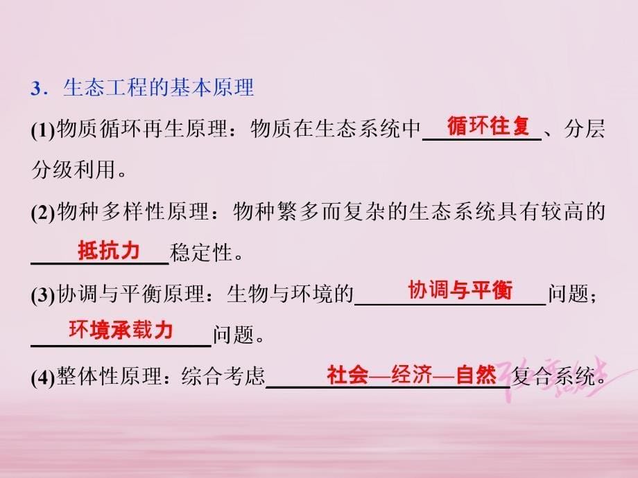 2019届高考生物一轮复习第十一单元现代生物科技专题第38讲生态工程课件_第5页