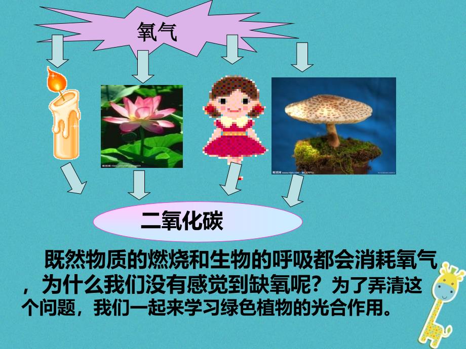 陕西省石泉县七年级生物上册3.5.1光合作用吸收二氧化碳释放氧气课件1新版新人教版_第2页