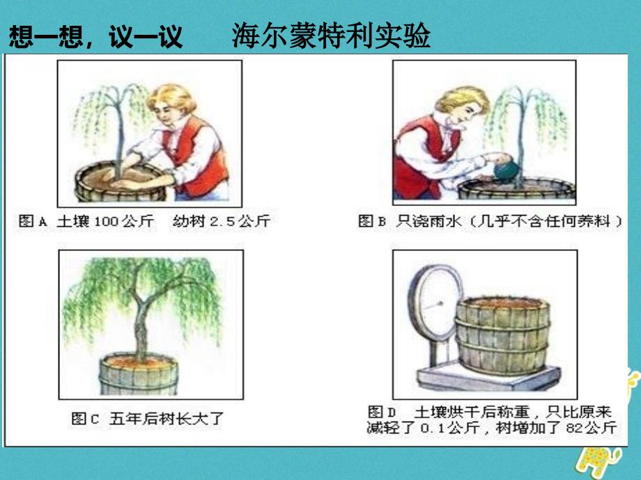 陕西省石泉县七年级生物上册3.5.1光合作用吸收二氧化碳释放氧气课件1新版新人教版_第4页