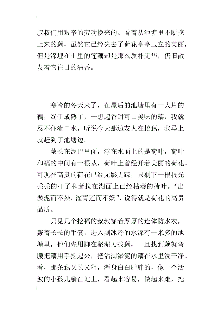 关于一件事启示的作文500字左右挖藕的启示_第2页