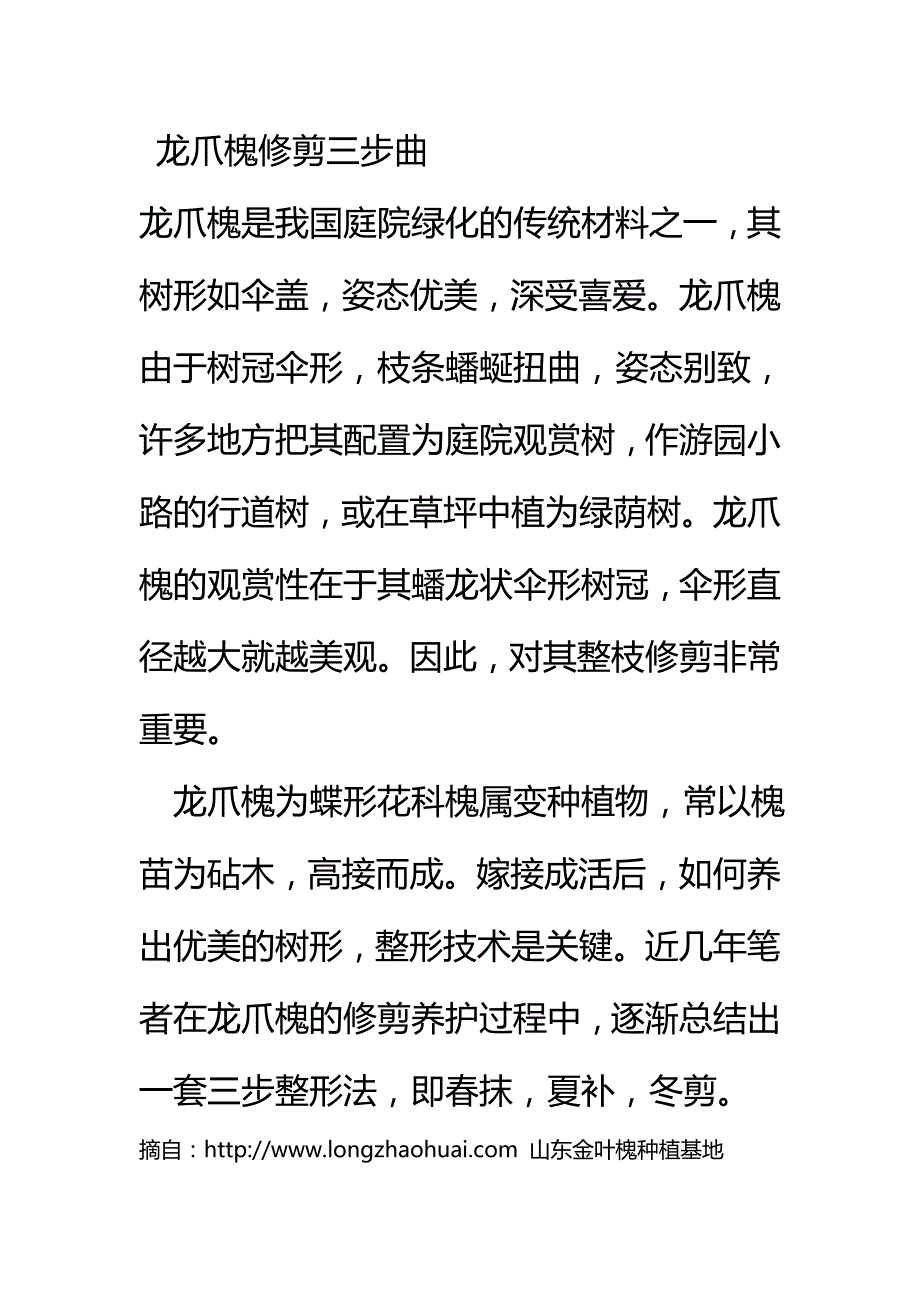 龙爪槐修剪三步曲_第1页