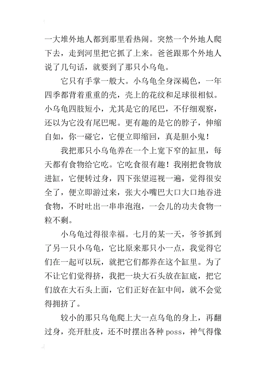 关于乌龟的作文：我喜欢的小乌龟400字_第4页