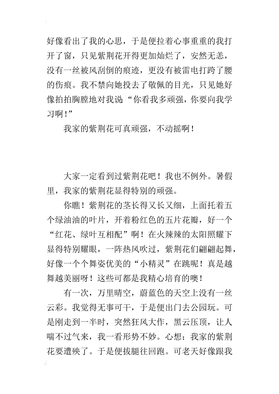 借景说理的小学作文：顽强的紫荆花_第2页