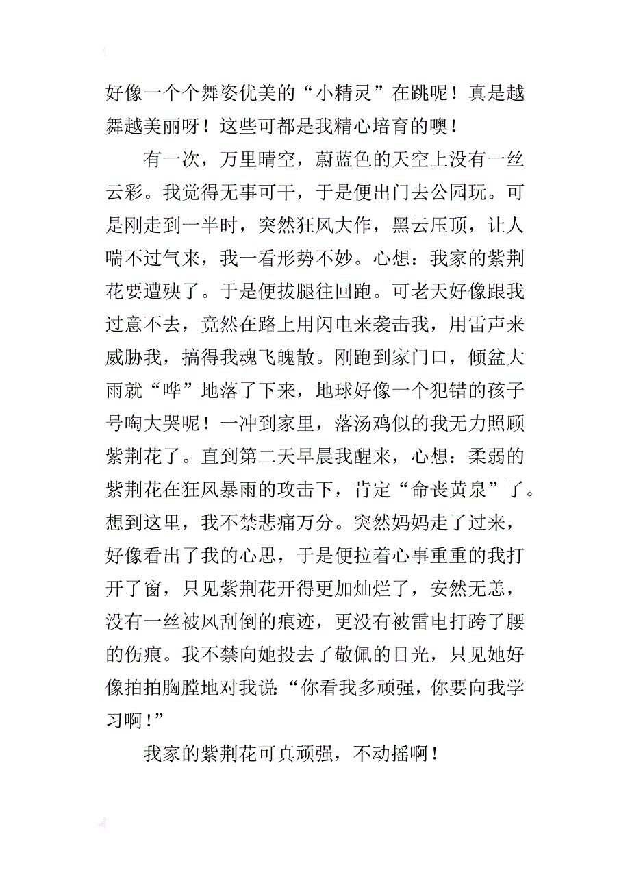 借景说理的小学作文：顽强的紫荆花_第4页