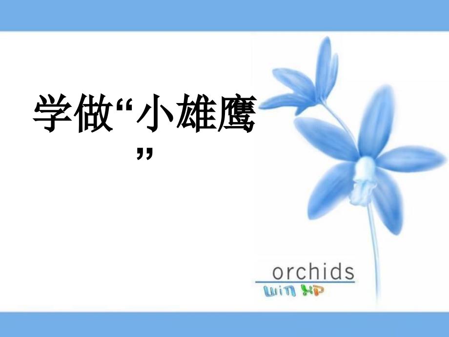 小学品德与生活二年级上册《学做“小雄鹰》课件_第1页