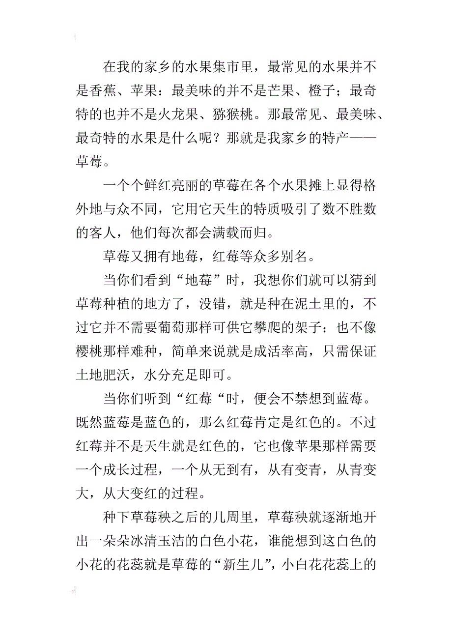 六年级600字作文家乡的特产——草莓_第3页