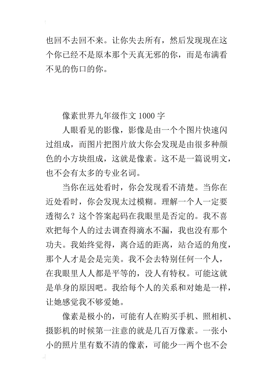 像素世界九年级作文1000字_第4页