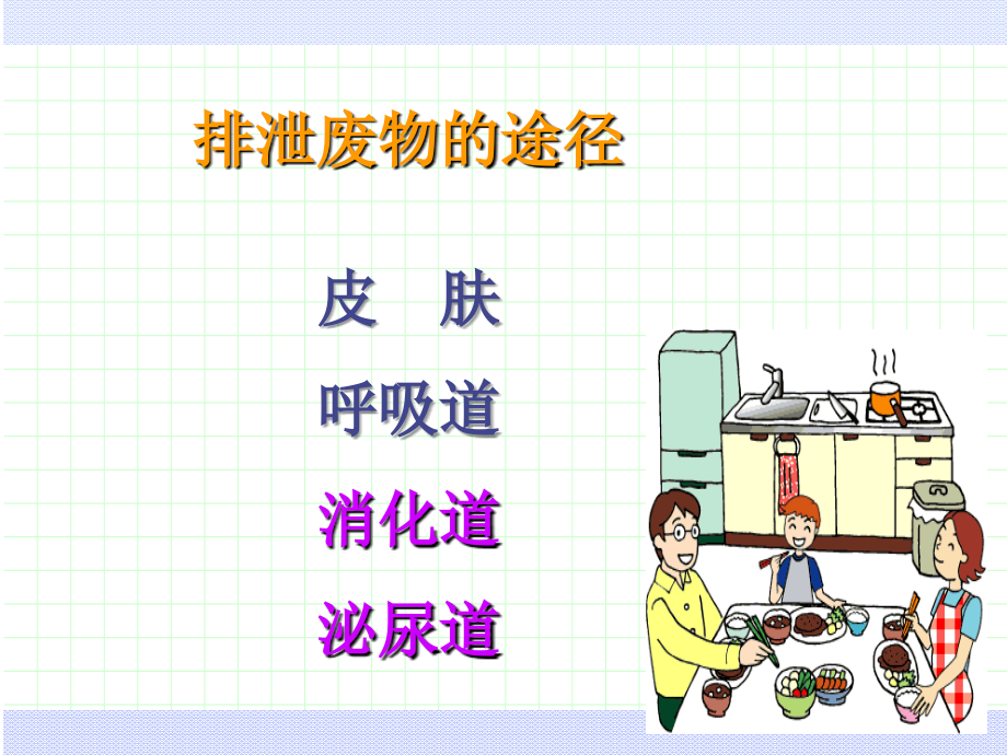 排泄的护理ppt课件_第3页