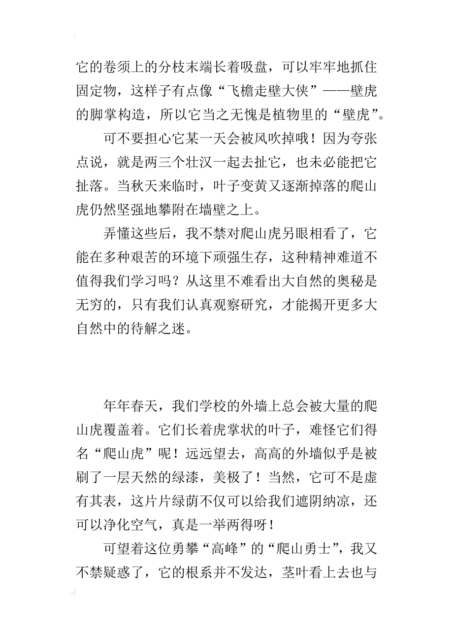 四年级我的发现作文爬山虎的奥秘_第2页