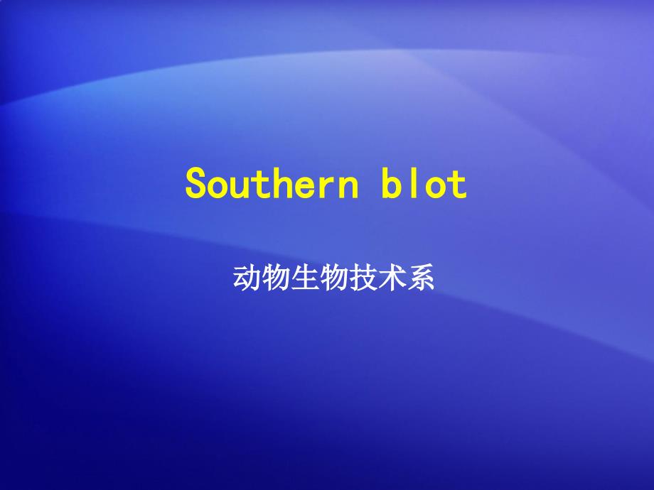 southernblot_第1页