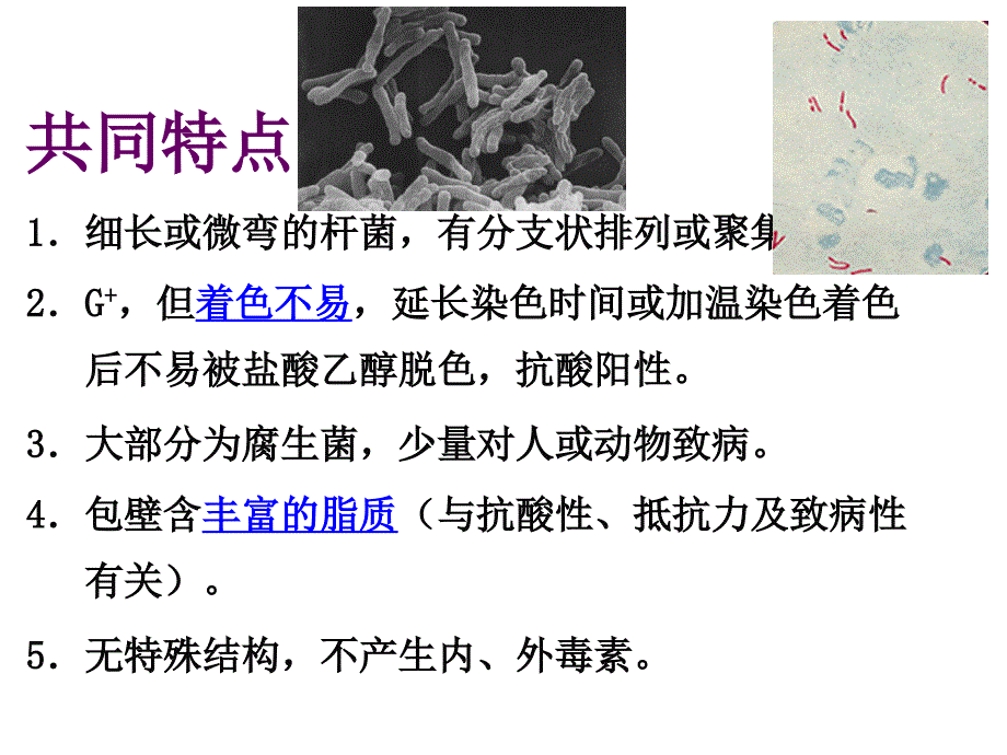 中南大学七年制分枝杆菌_第4页