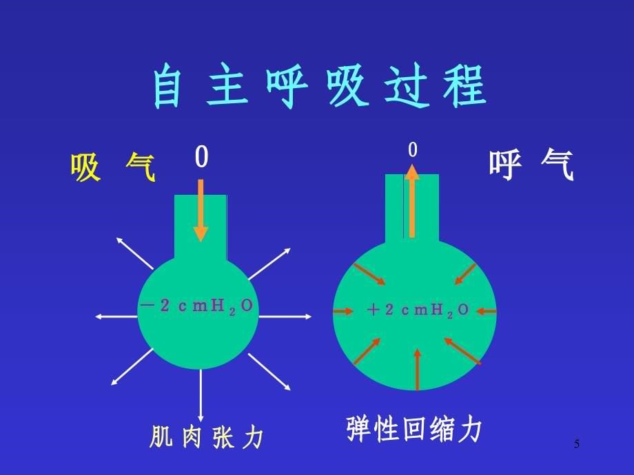 人工机械通气原理ppt课件_第5页