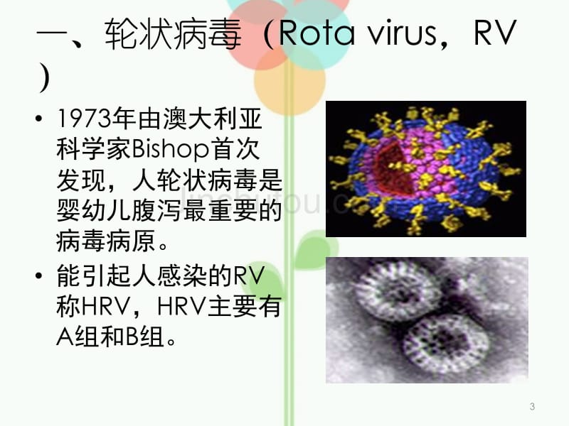 人类轮状病毒ppt课件_第3页