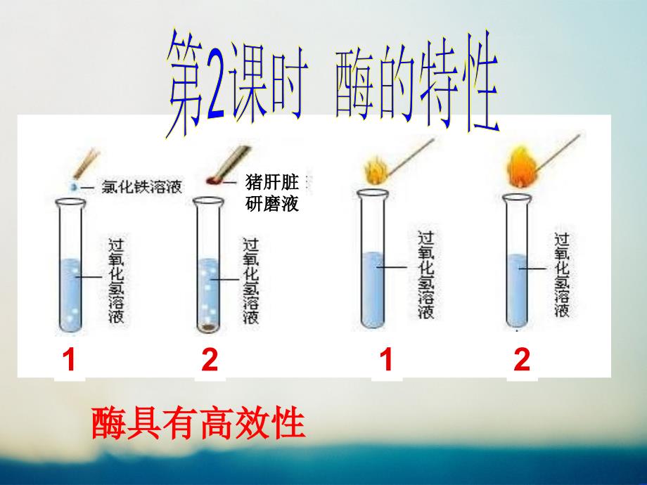 高中生物必修一第5章第1节第2课时《酶的特性》课件_第1页