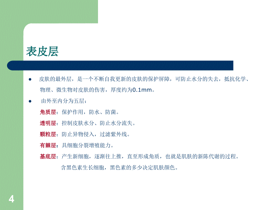 皮肤护理基础知识PPT课件_第4页