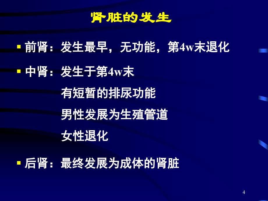 泌尿系统和生殖系统的发生PPT课件_第4页