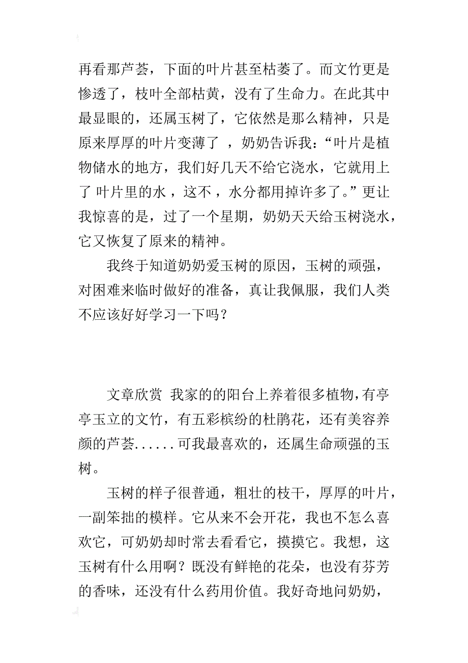 初中生借物言志作文700字我喜欢的植物------玉树_第3页