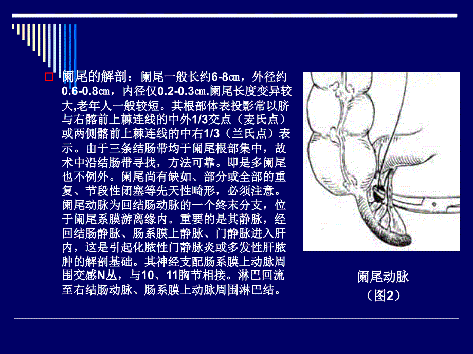 阑尾疾病PPT课件_第4页