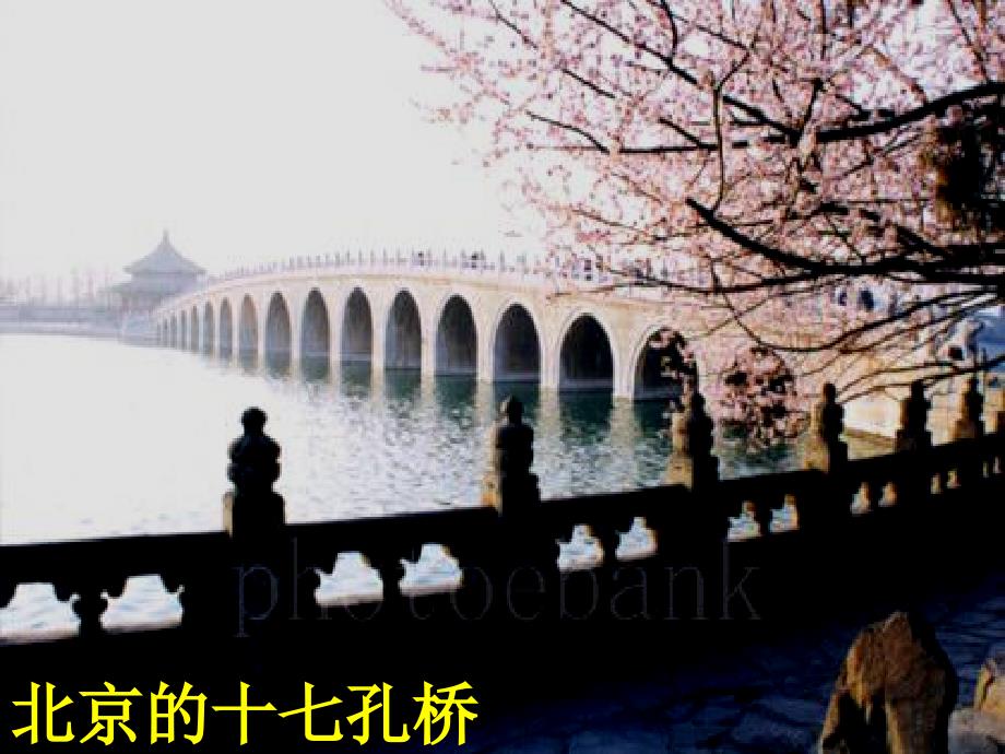 小学语文三年级上册《赵州桥》课件_第1页