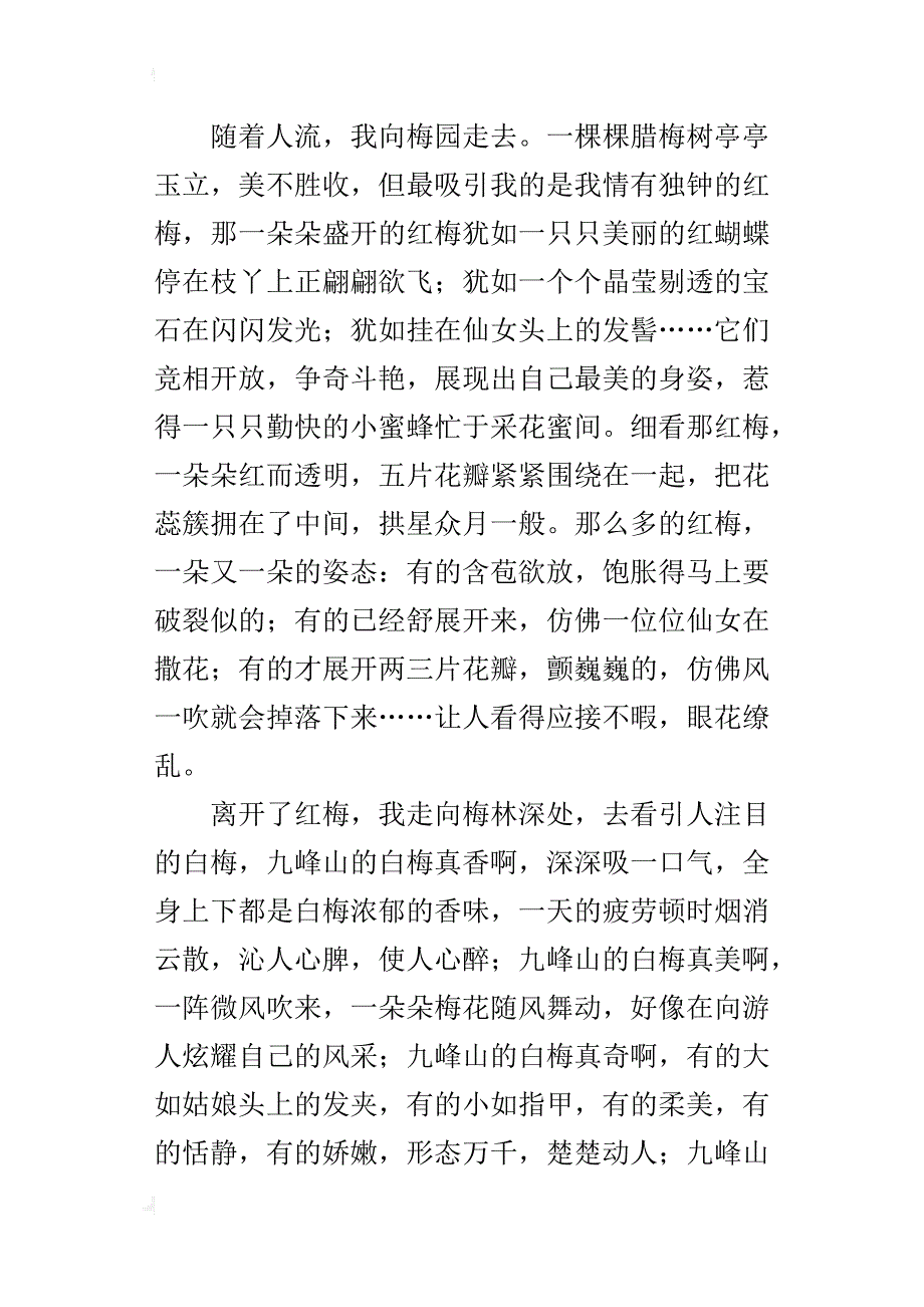 四年级赏梅的作文500字九峰山的梅花_第3页