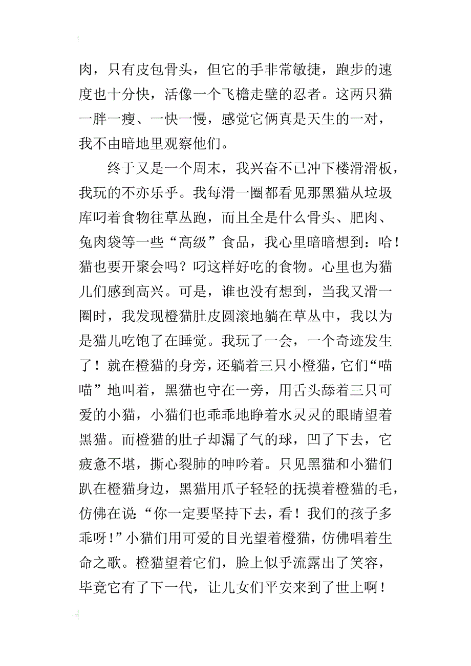 坚强的流浪猫九年级作文900字_第4页