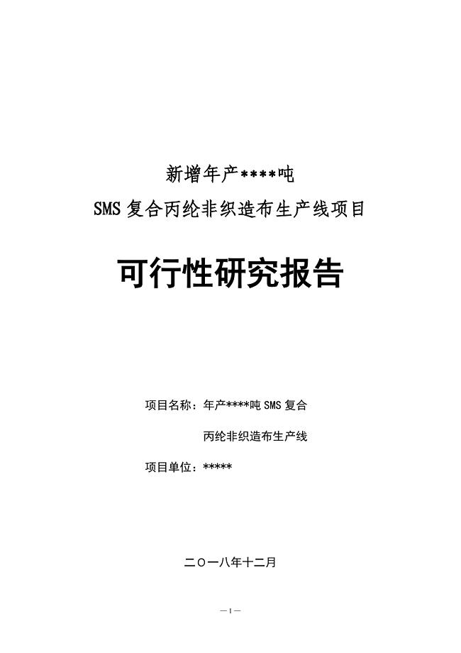 SMS生产线项目可行性研究报告