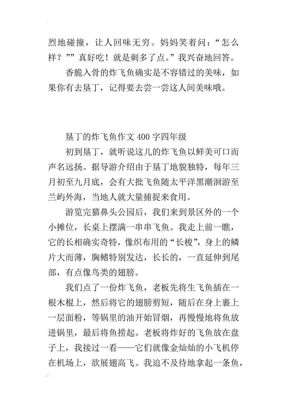 垦丁的炸飞鱼作文400字四年级_第2页