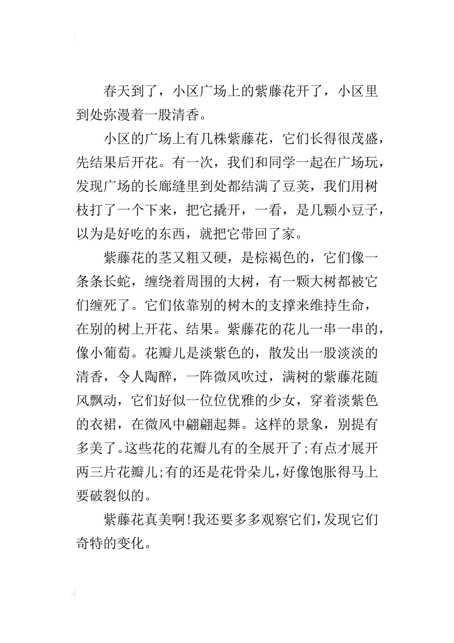 四年级观察植物作文300字美丽的紫藤花_第3页