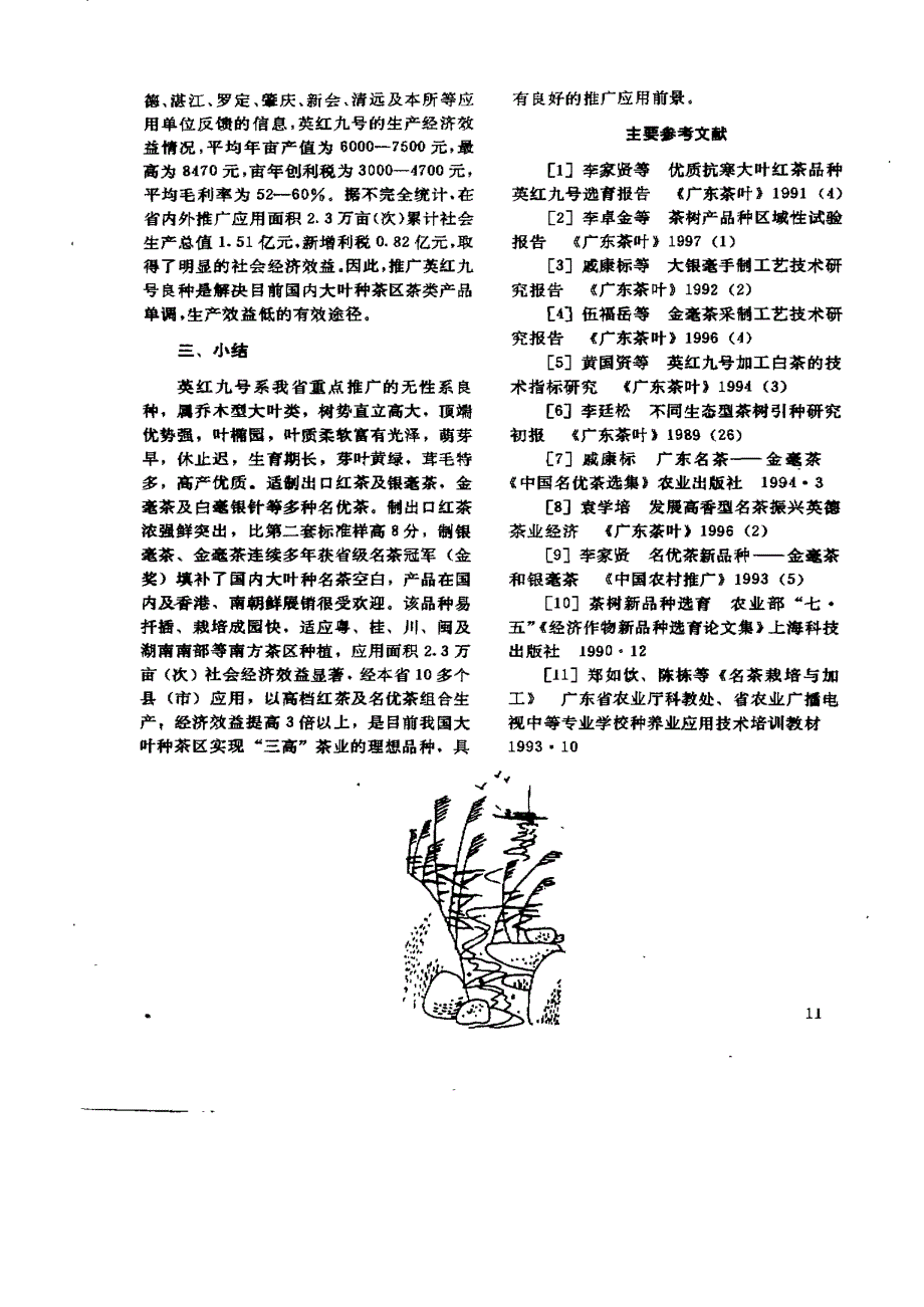 英红九号名优茶生产示范利用总结报告_第4页