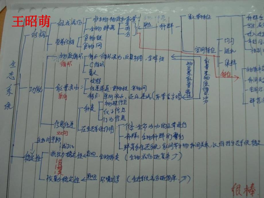 高三生物二轮复习课件《生物与环境》_第4页