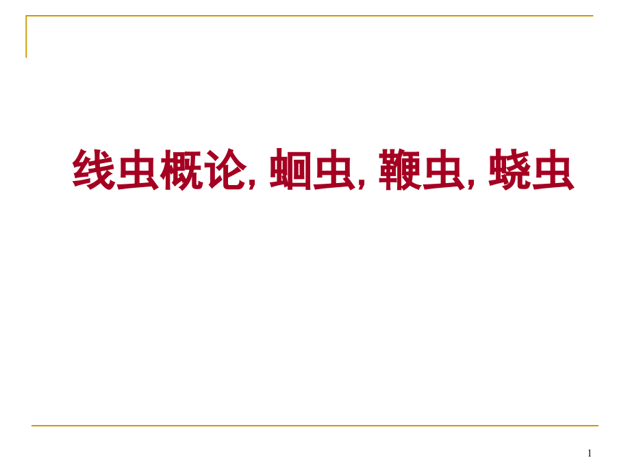 线虫概论ppt课件_第1页
