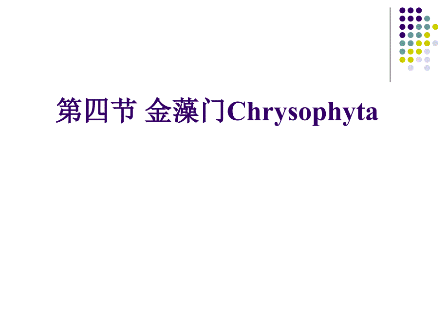 水生化学金藻门+黄藻门_第1页