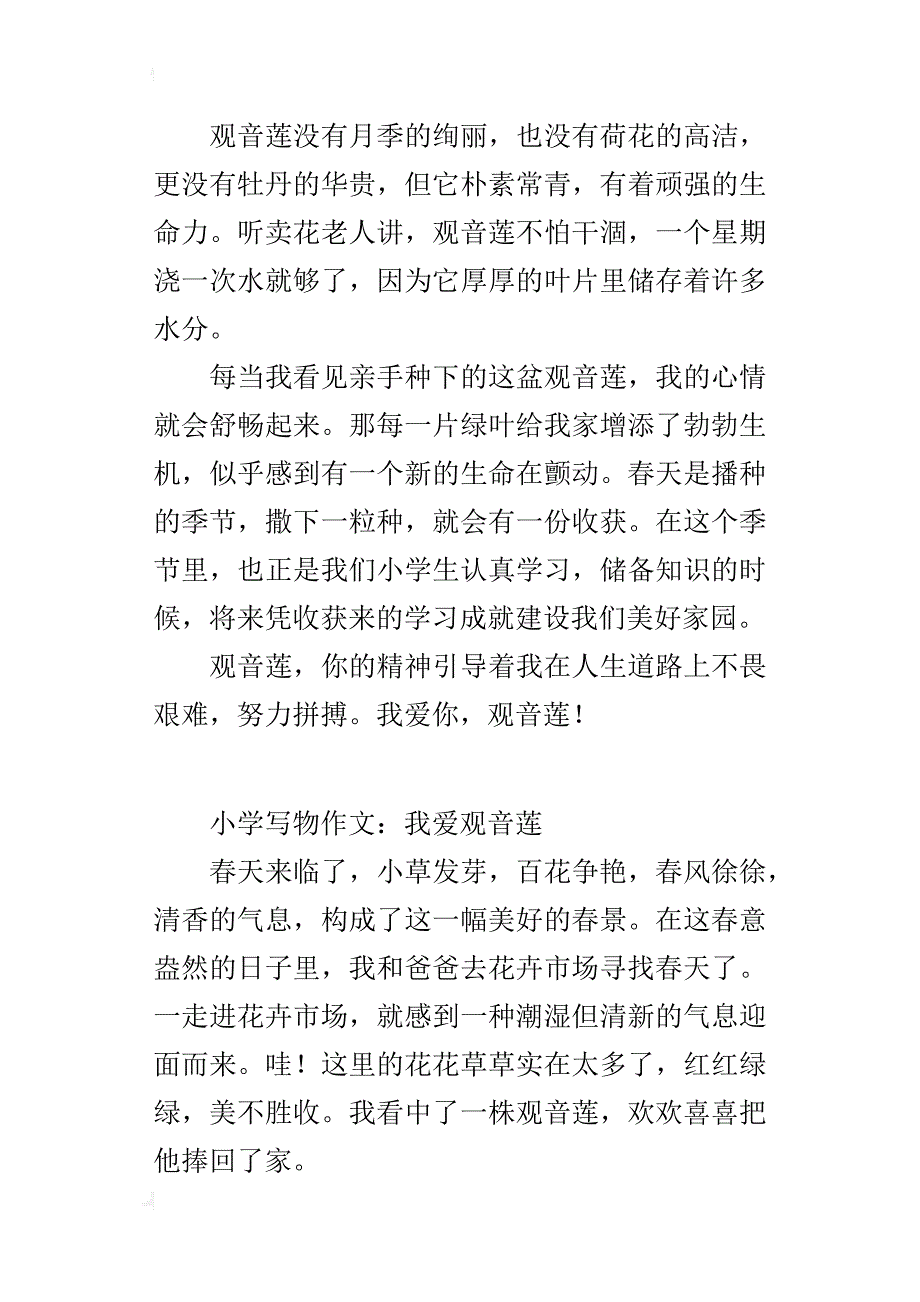 小学写物作文：我爱观音莲_第3页